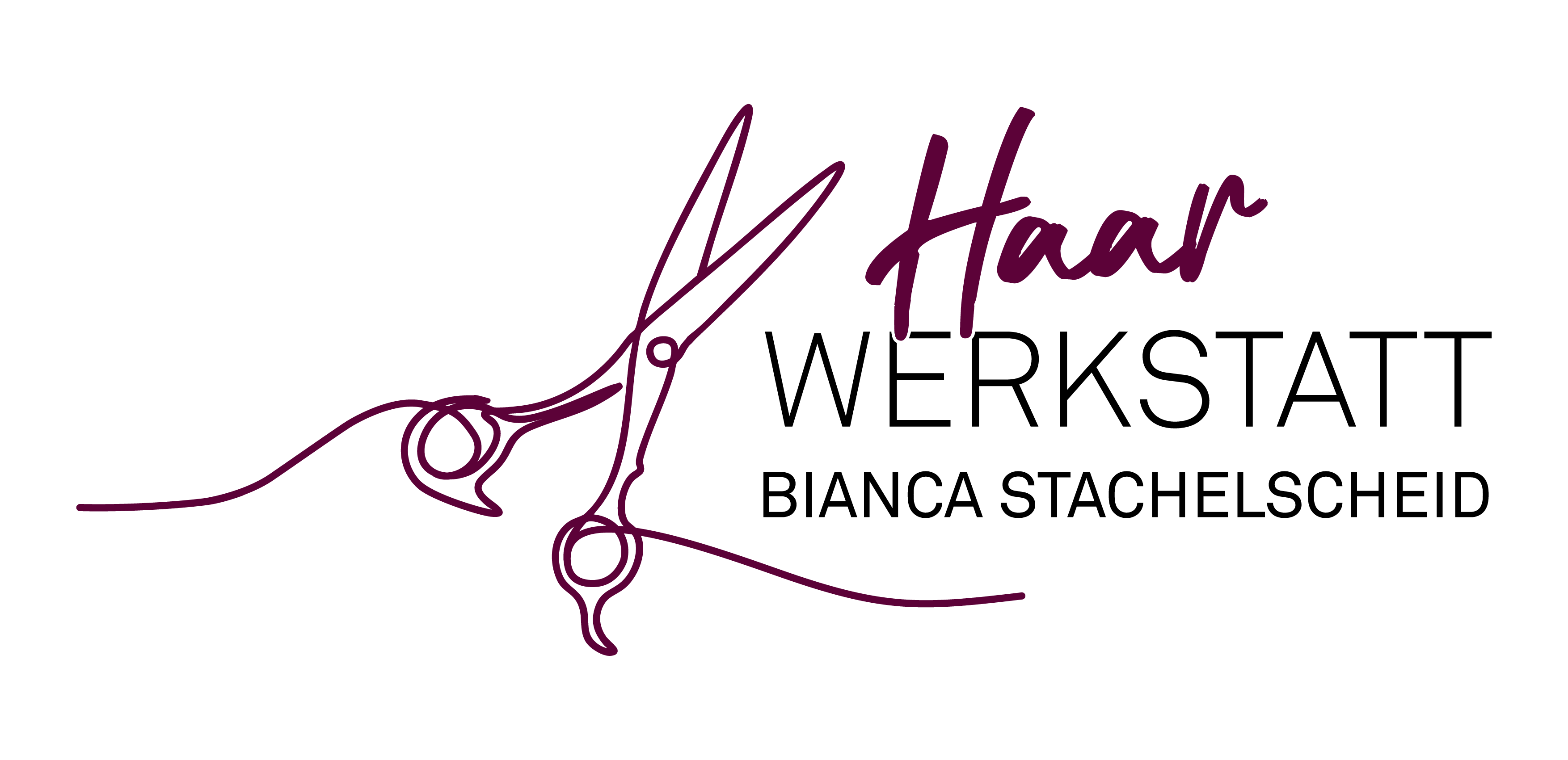 Haarwerkstatt Logo